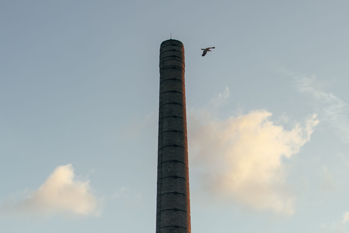 Loading... just a sec